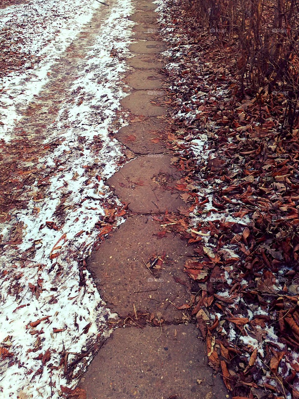 winter city scenery with stone walkway