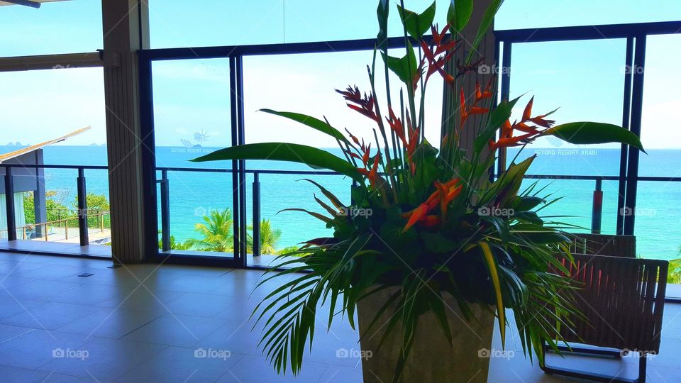 Let the Vacation begin.