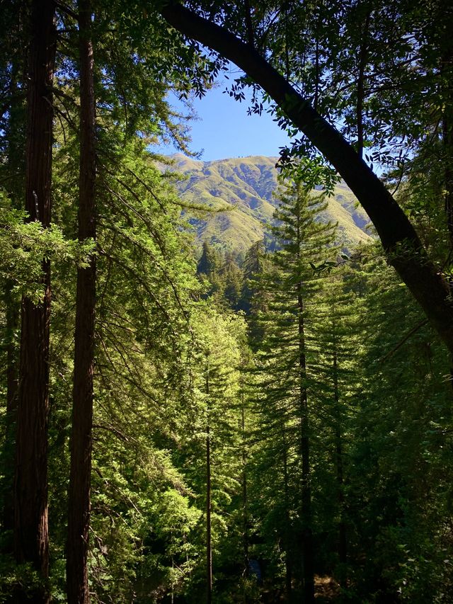 Big Sur California 
