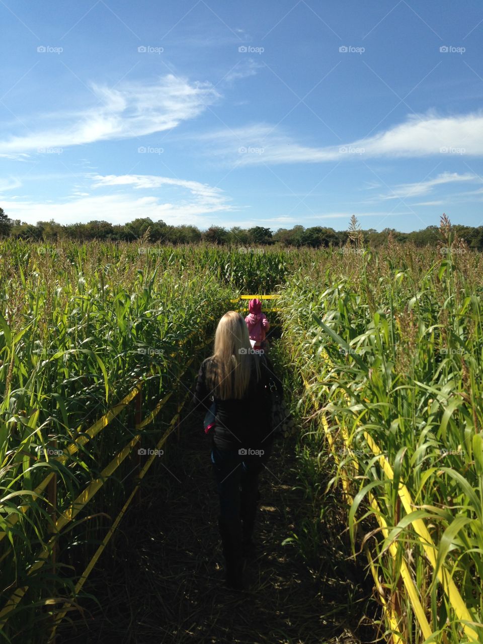 Solving the corn maze