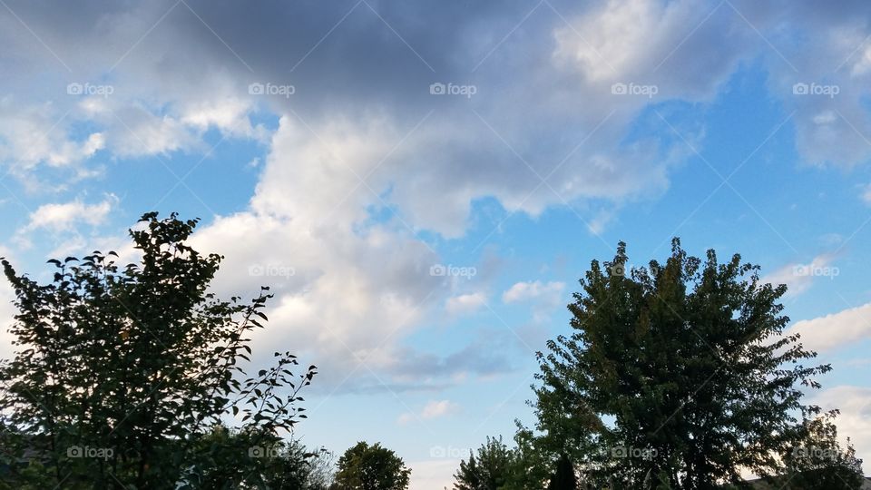 No Person, Nature, Tree, Outdoors, Sky