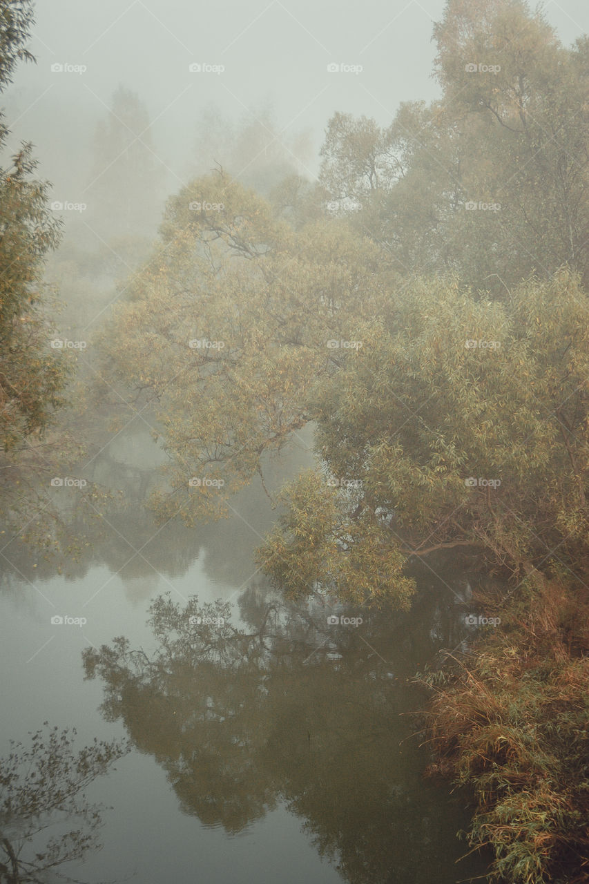 Misty morning summer landscape with river