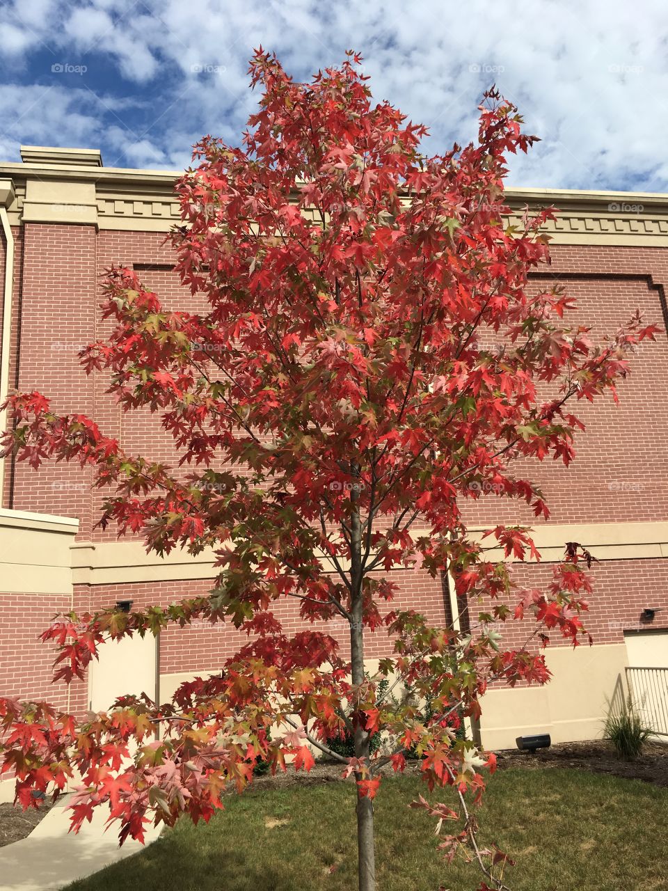 Fall in Hershey Pennsylvania 