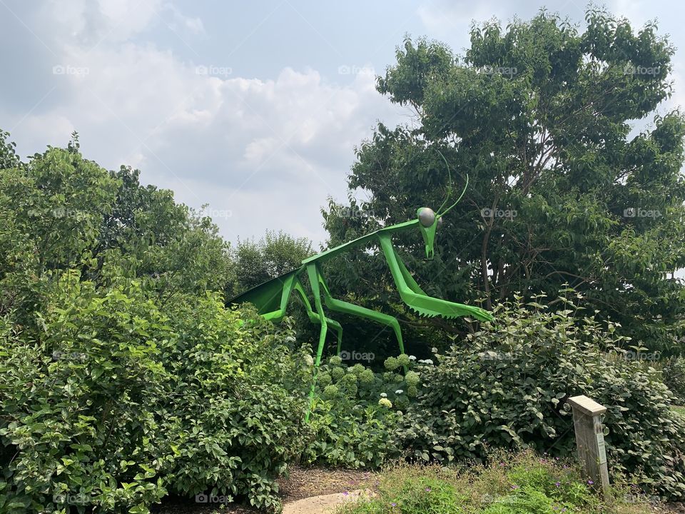 Annabelle, the 15-foot tall Praying Mantis, at the Phenology Garden at Ohio State University.