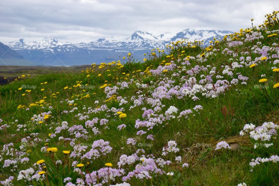 Stykkisholmúr, Iceland