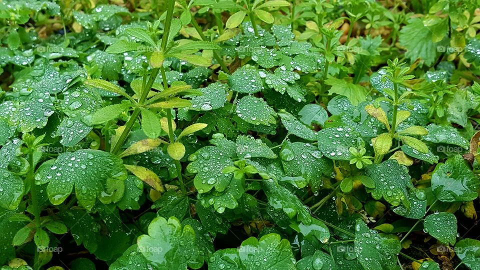 winter is coming 
greenery turning