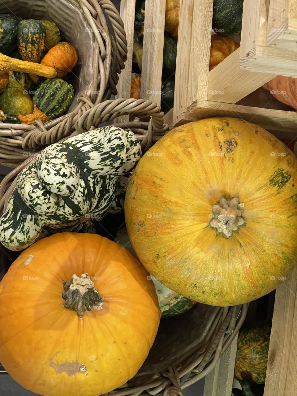 Assorted pumpkins inside nests and wooden boxes from above, autumn harvest, orange and green pumpkins, vegetable market stand 