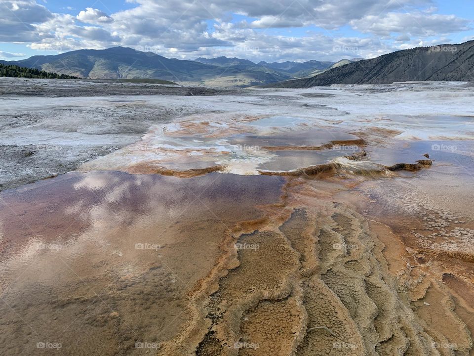 Yellowstone national park 