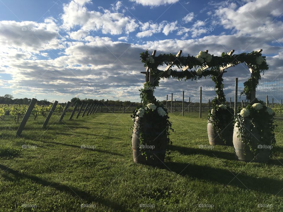 A wedding at the winery. 