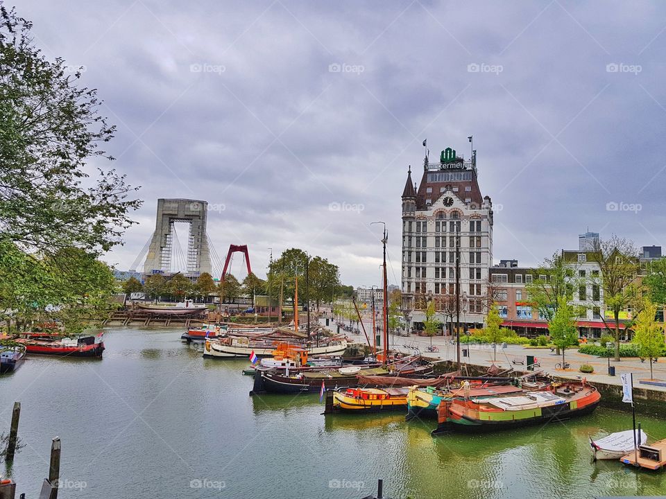 amazing Rotterdam