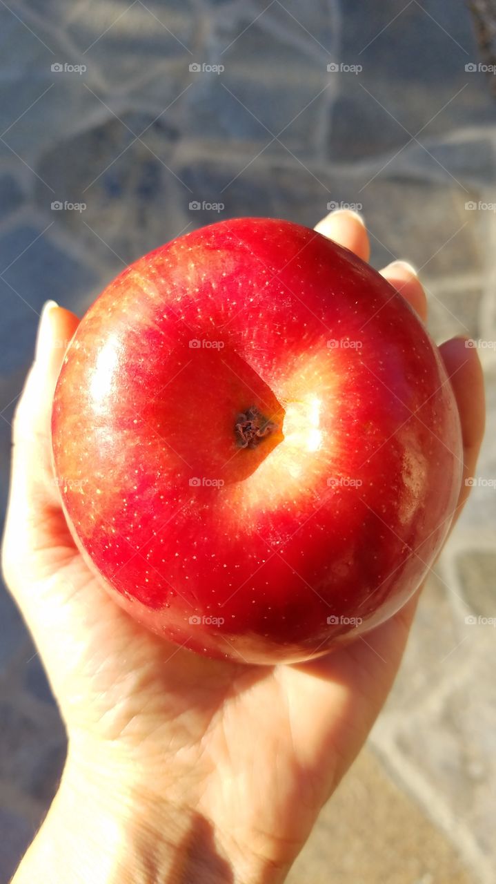 Holding apple