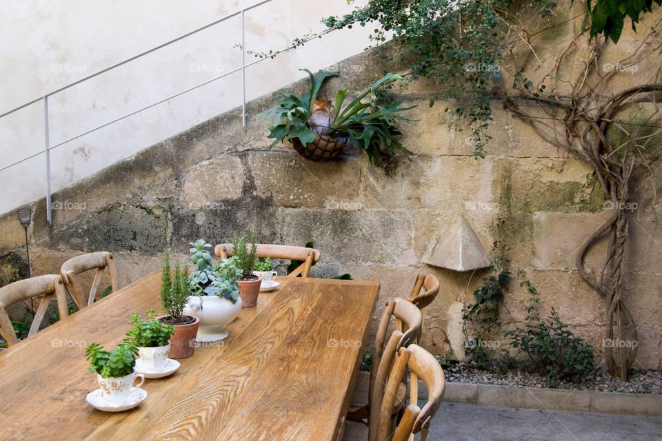 Close-up of various plants on table