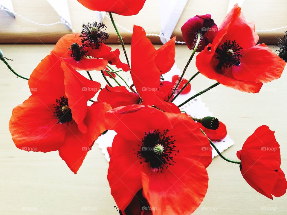 Red color story. Poppies 