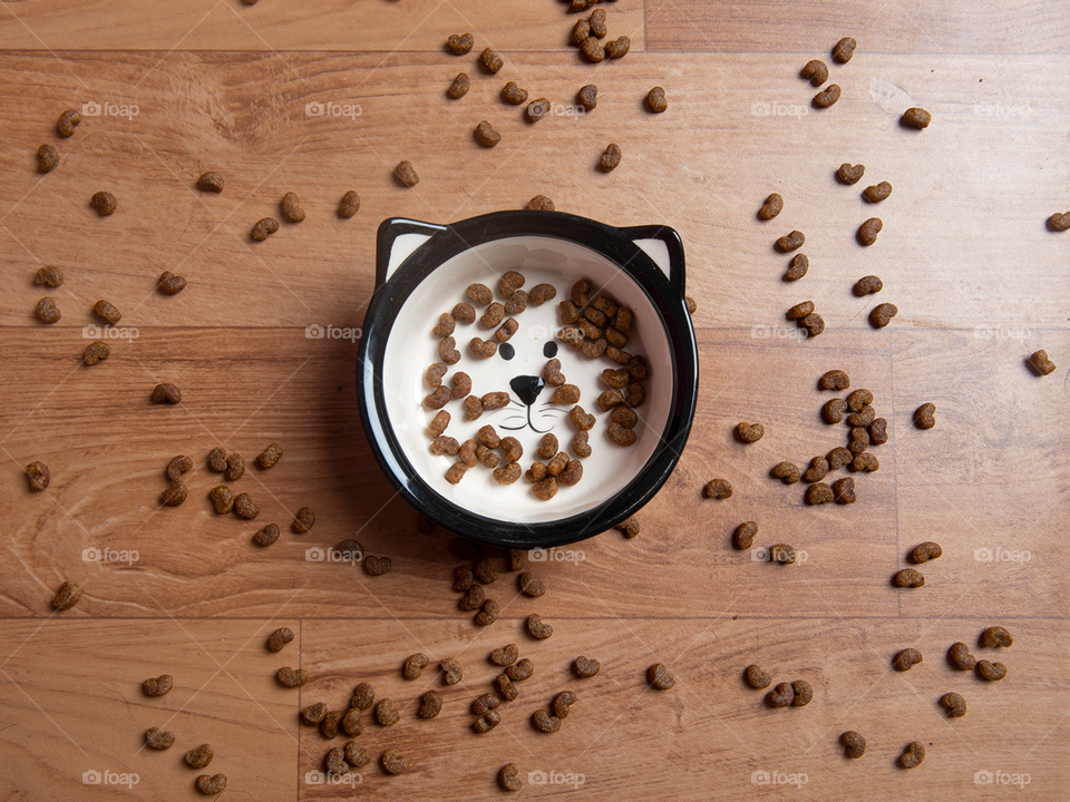 Bowl with cat food