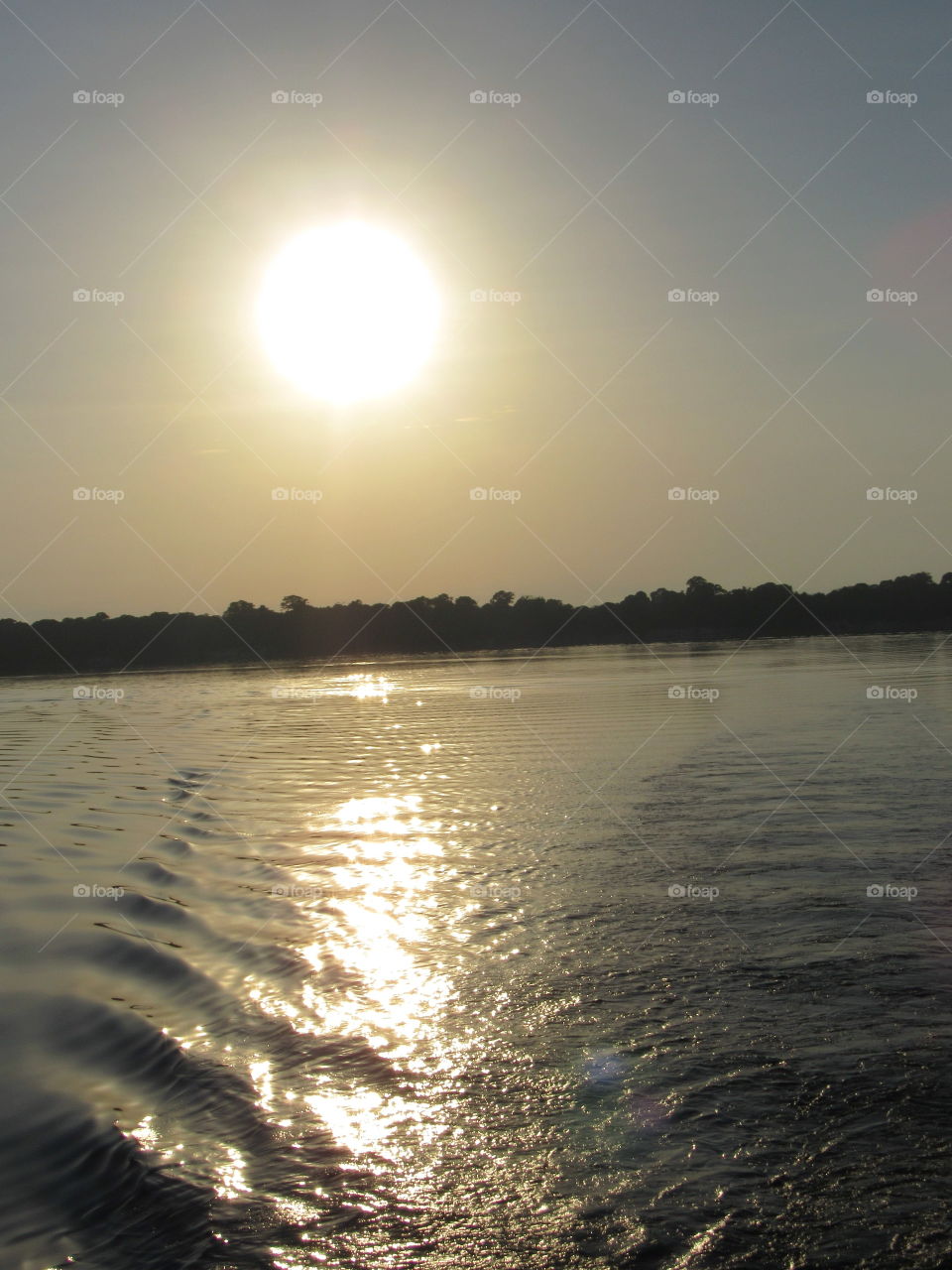 Sunrise in the river