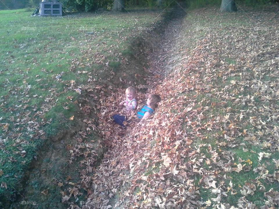playing in leaves