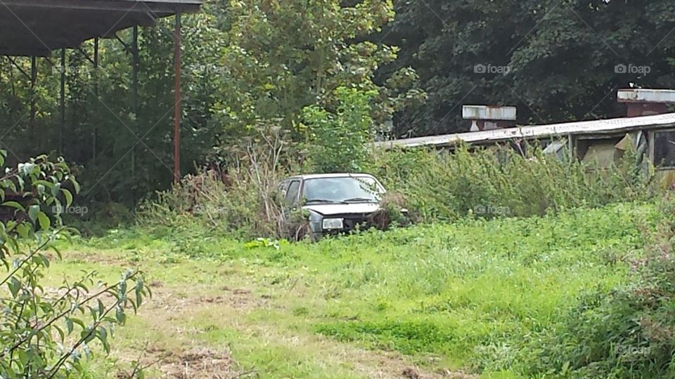 derelict car