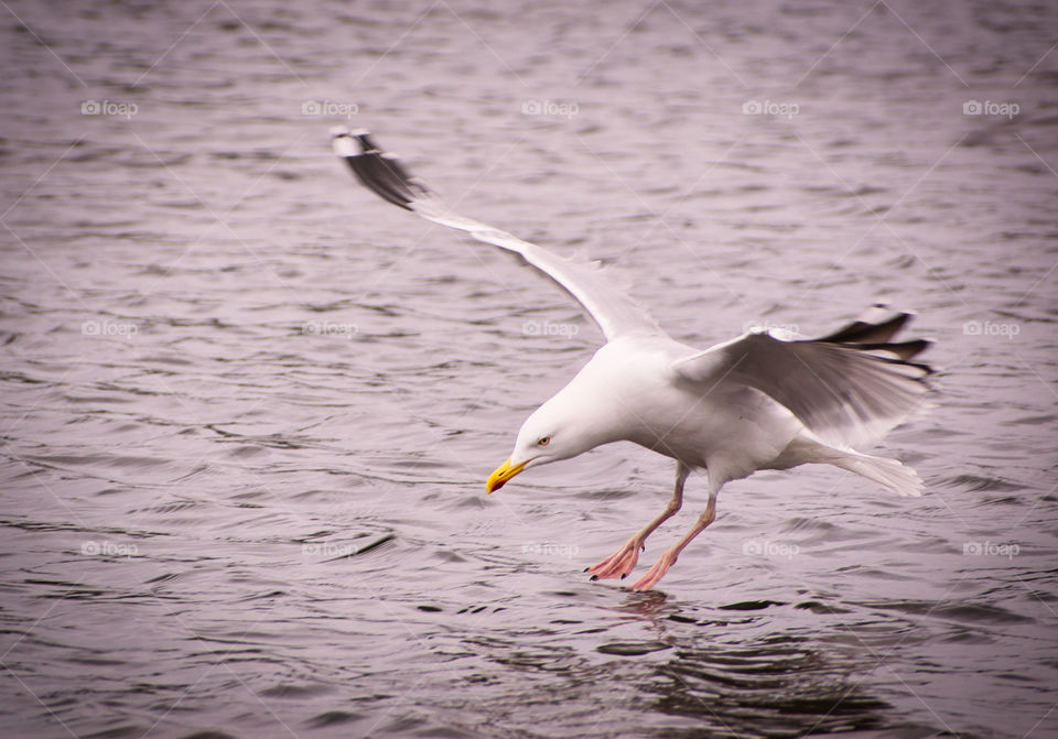 Going for swim