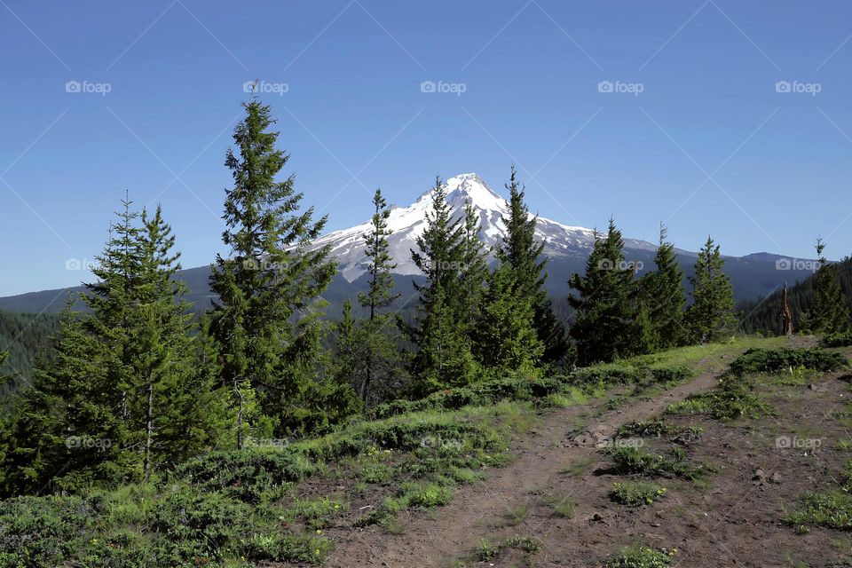 trail to the top of mountain