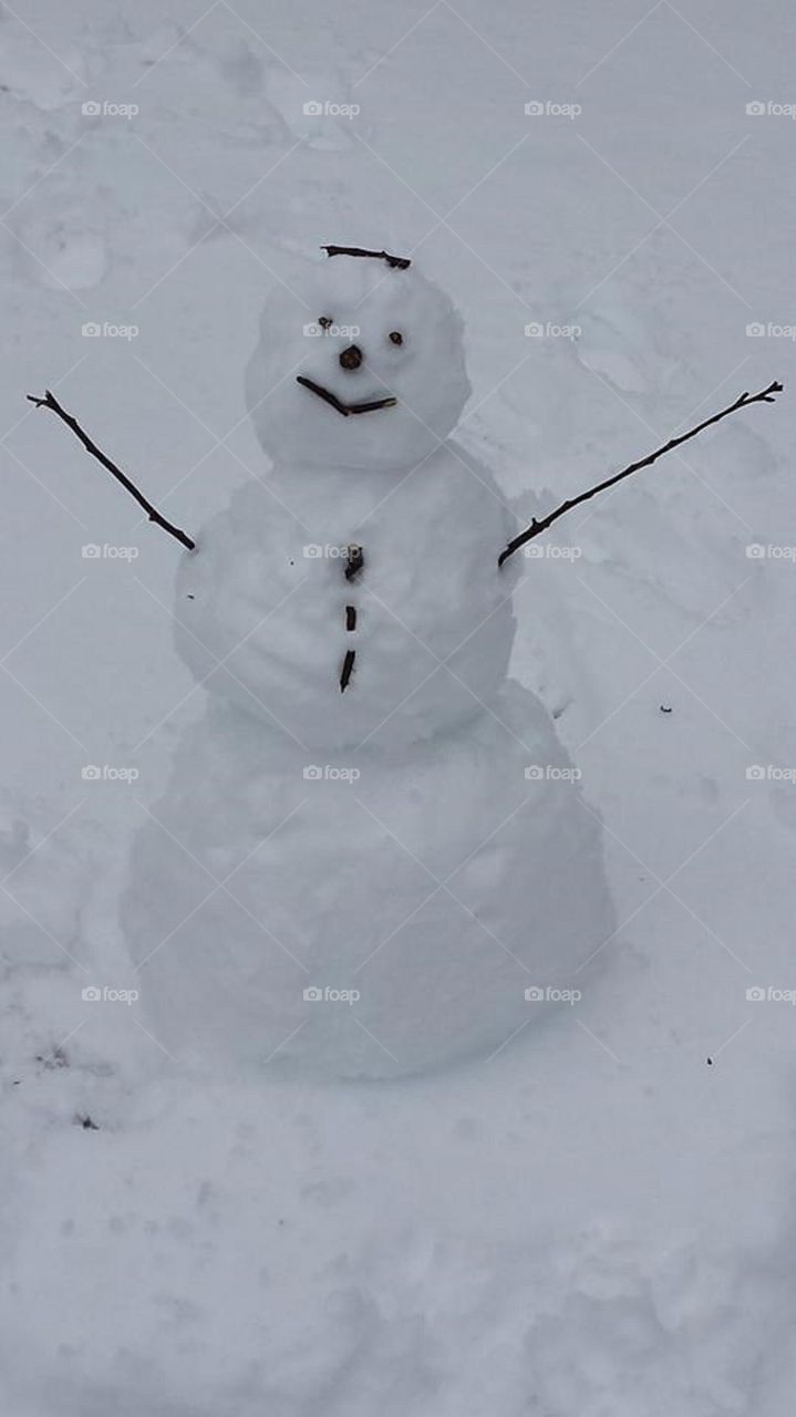 Snowman Ed