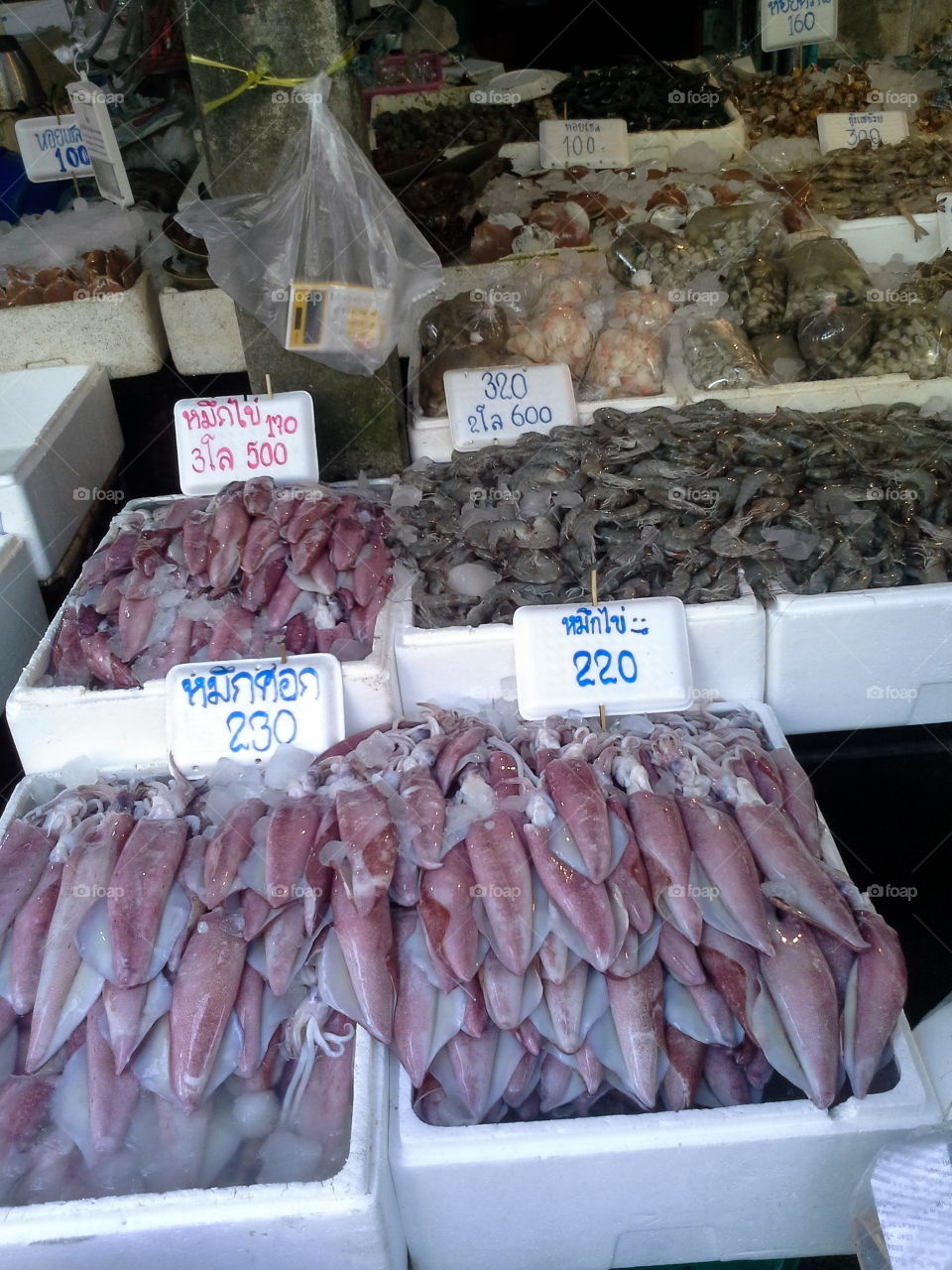seafood. seafood  market 