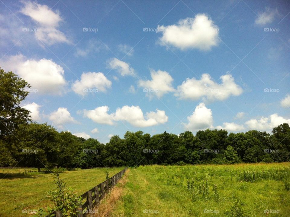 Clouds on a sunny day