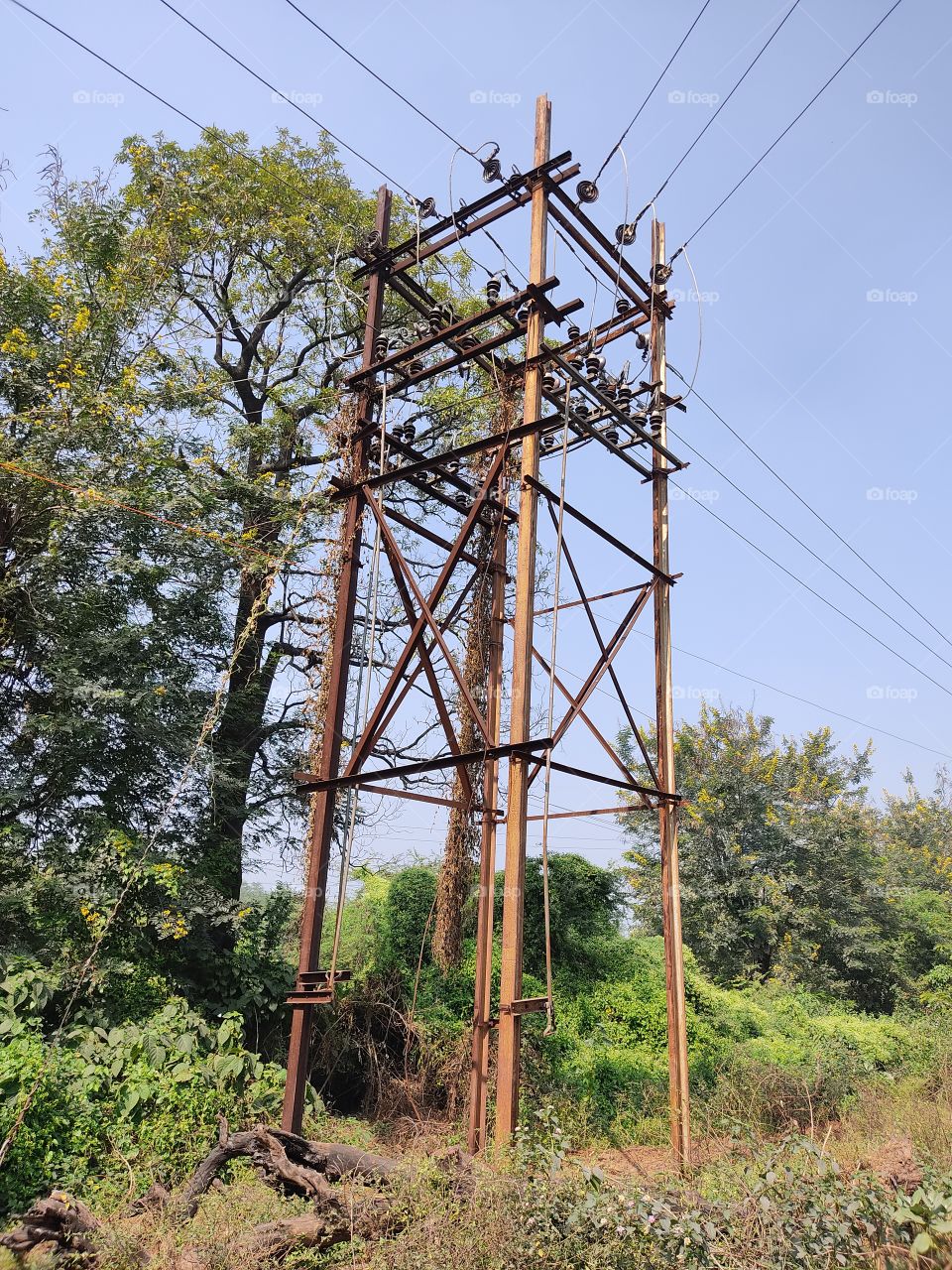 Beautiful😍 Electric⚡ Pole.