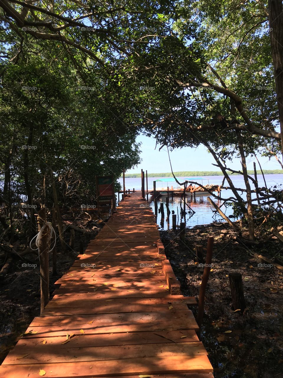 Merida, Mexico. Leisure Boat Ride