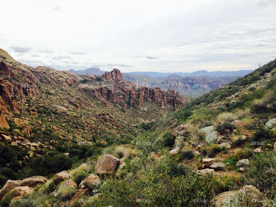 Desert mountain landscape with saguaro cacti in Queen Valley, Arizona
