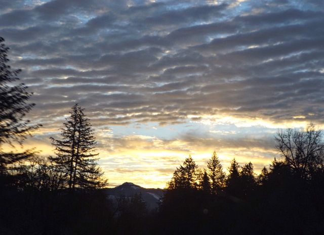 Sunrise 