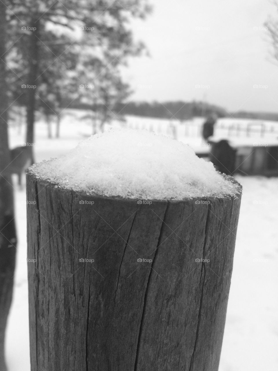 Black and white post with snow 