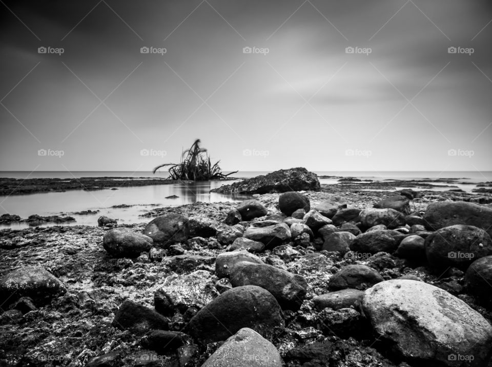 black and white in action