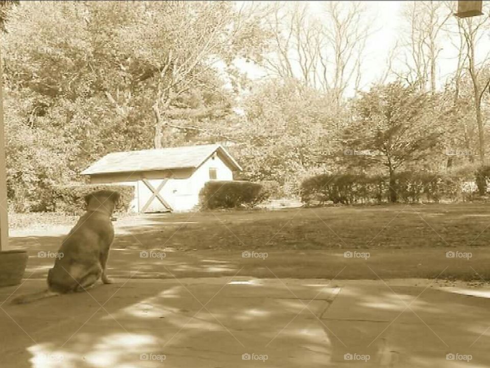 Lady in deep thought