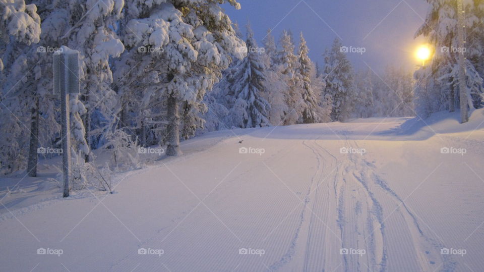 View of snowy weather and street light