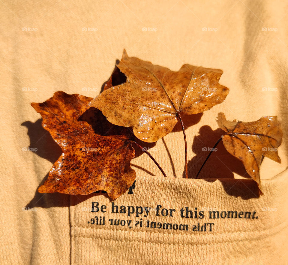 Happy moment of autumn