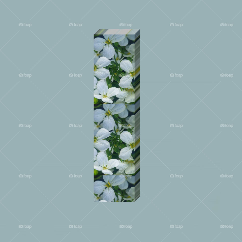 I alphabet 3d rendering of vertical white flowers alphabet