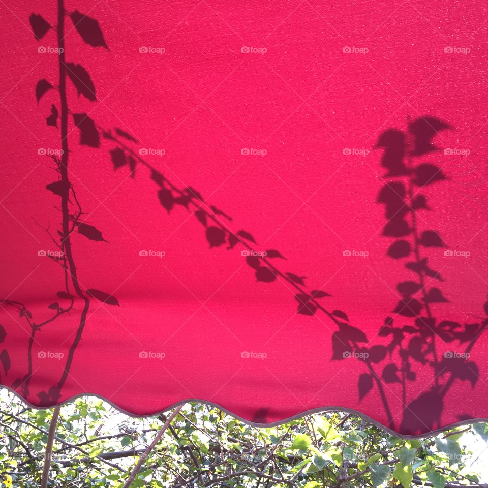 Backlight on the red sun umbrella