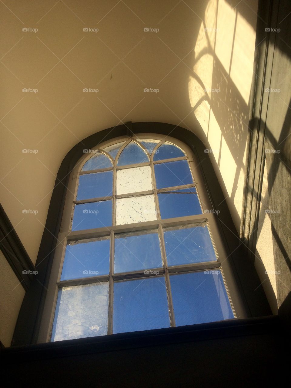 Window 