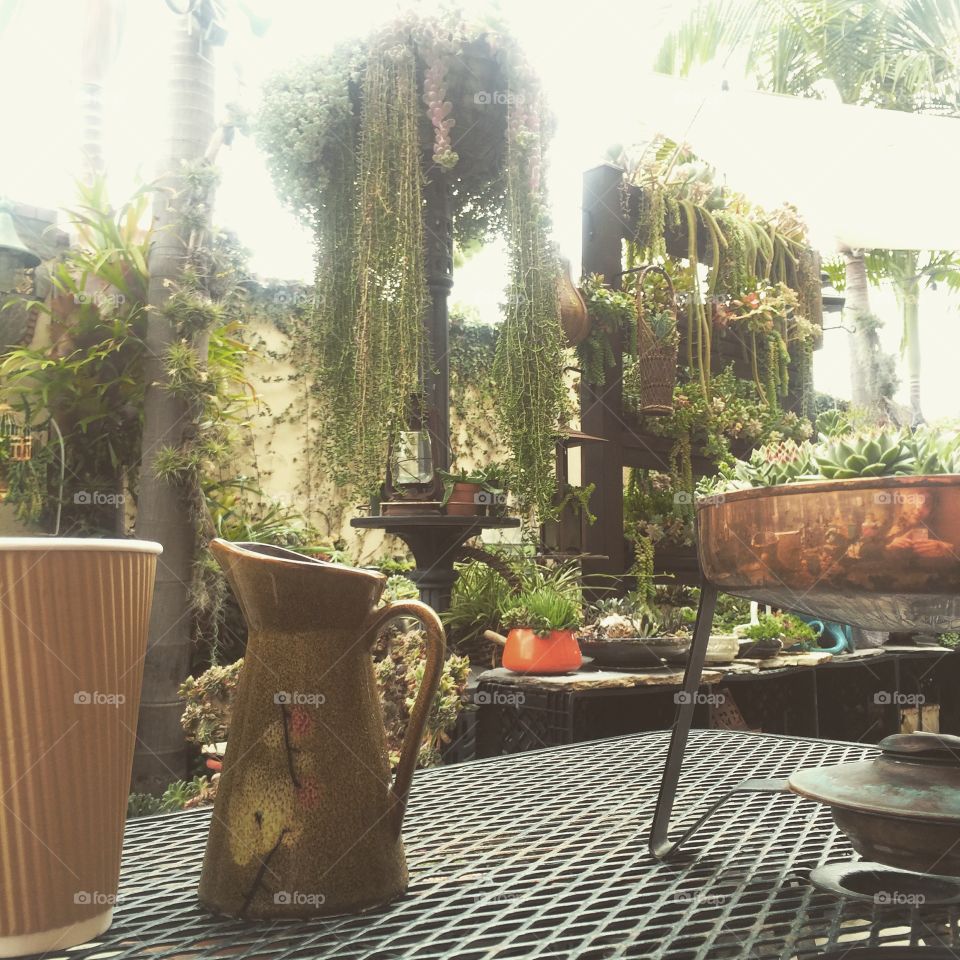 Succulent cafe
