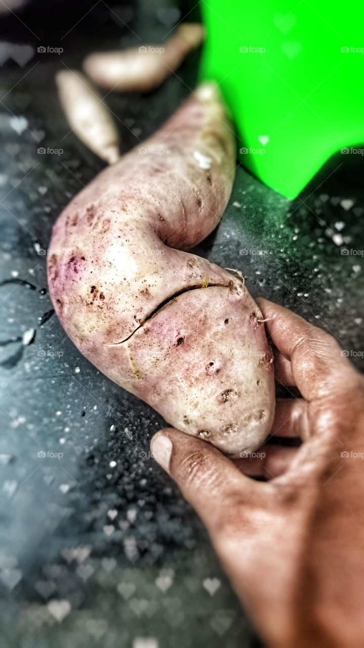 Sweet potato grown in terace