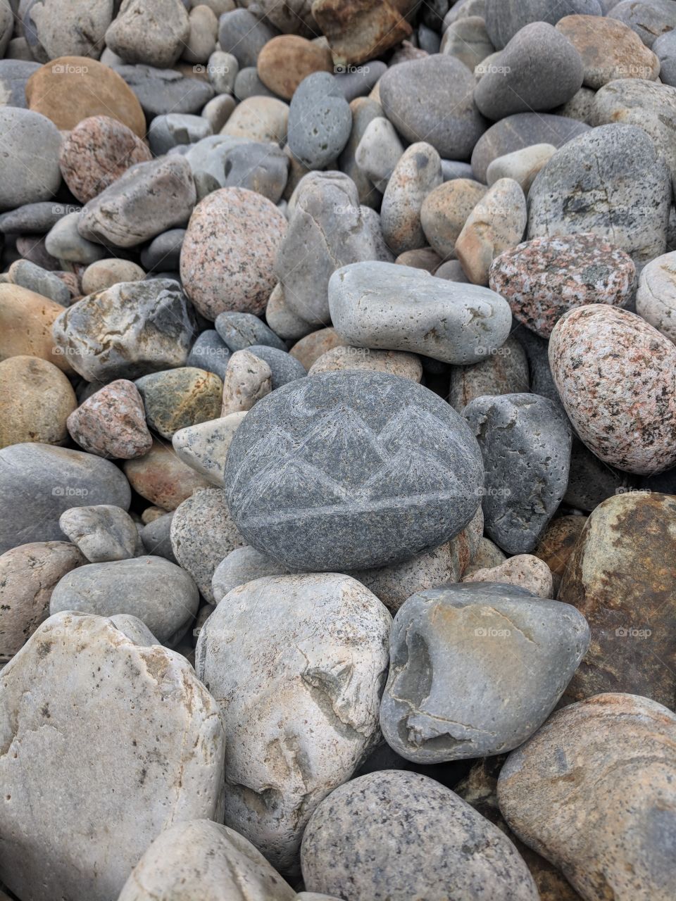 A rock I found at Acadia National park