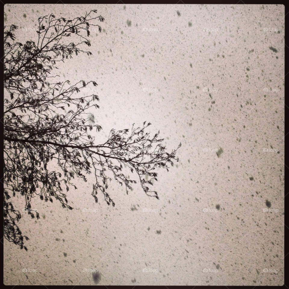 snow winter sky tree by Nietje70