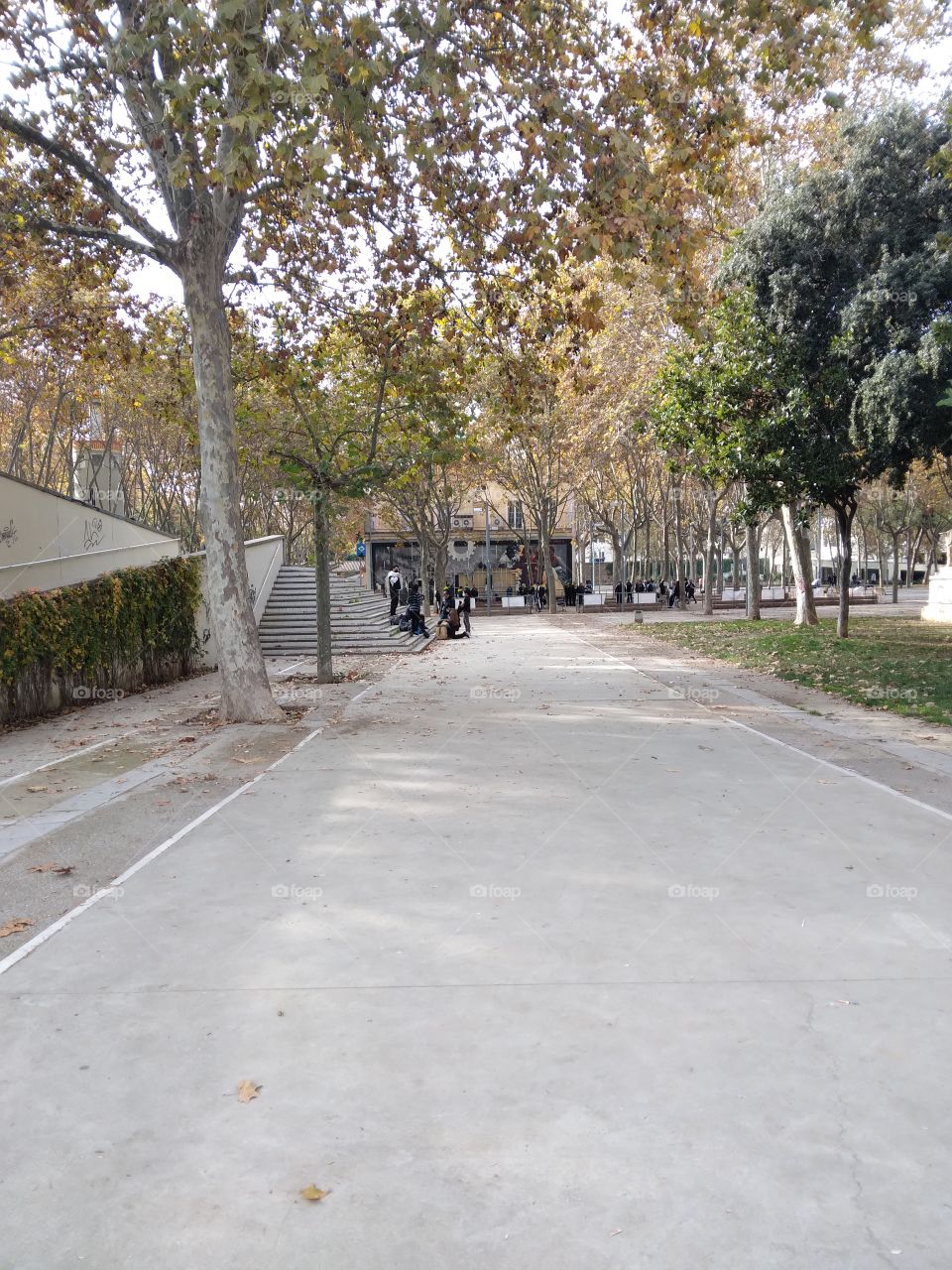 centro de Reunión en Parc de Sants