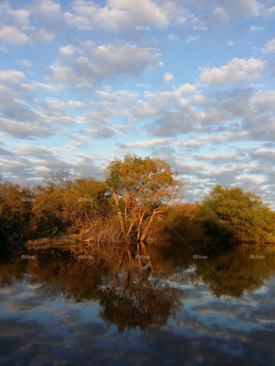 Golden Hours Cloud Reflection on the Pond