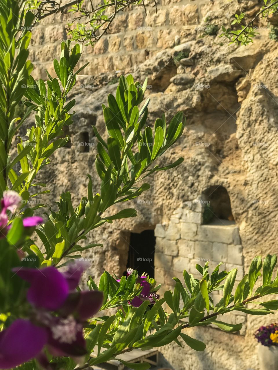The Garden - The Empty Tomb in Jerusalem, Israel 