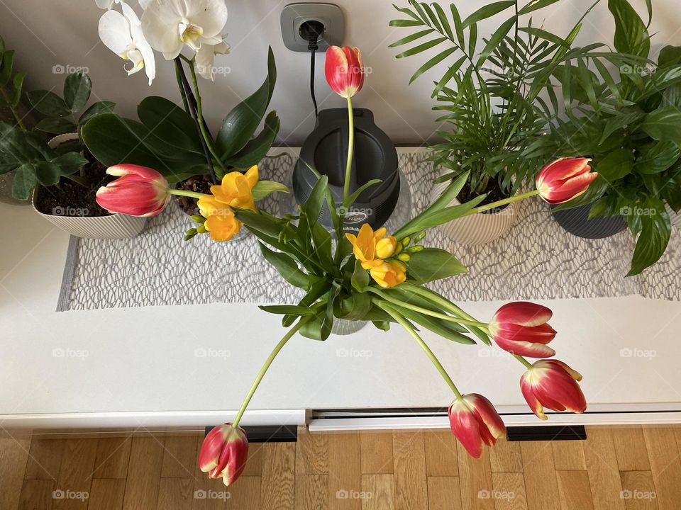 Top view of beautiful flowers in vase 