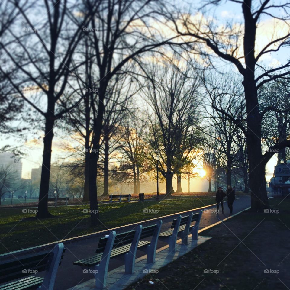 Boston common park