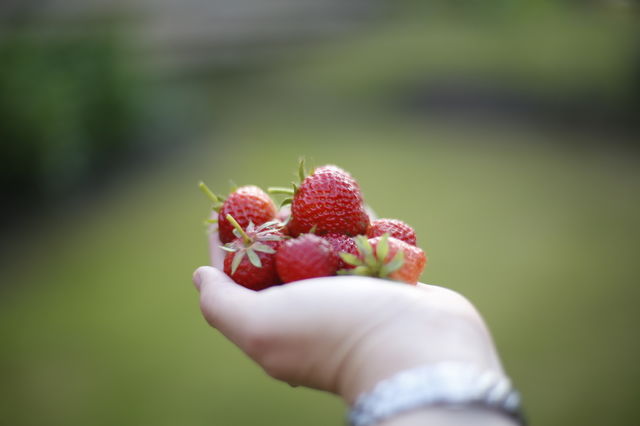 strawberries