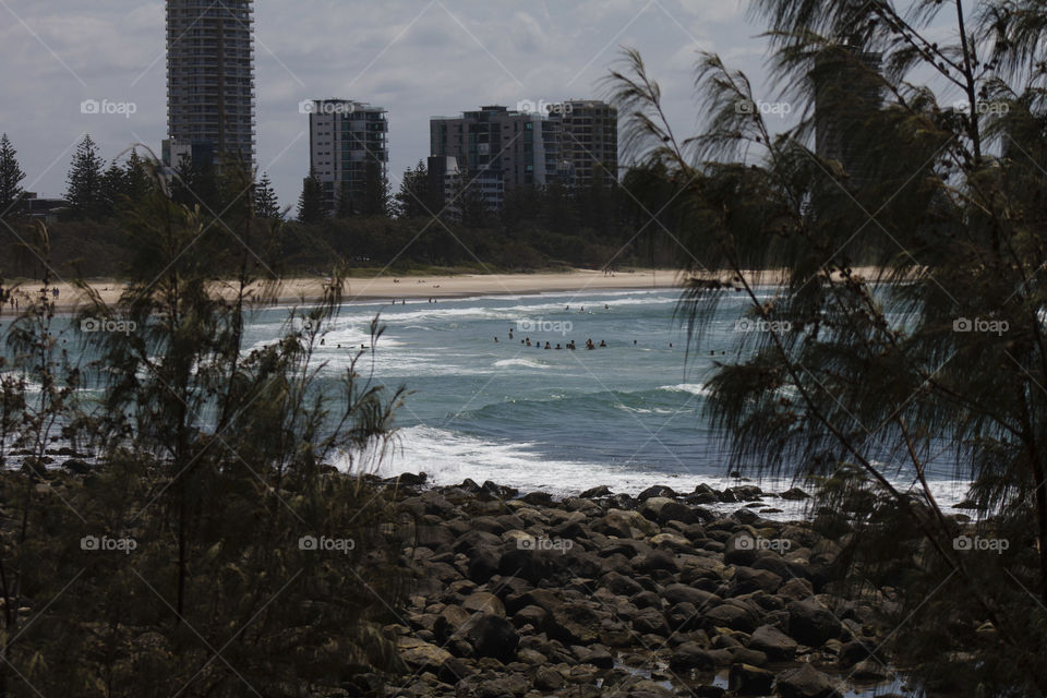 Beach Swimming through the Trees