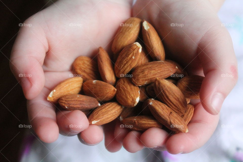 High angle view of a almonds